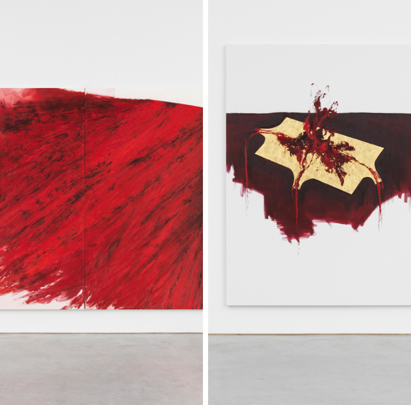 Vernissage di Anish Kapoor